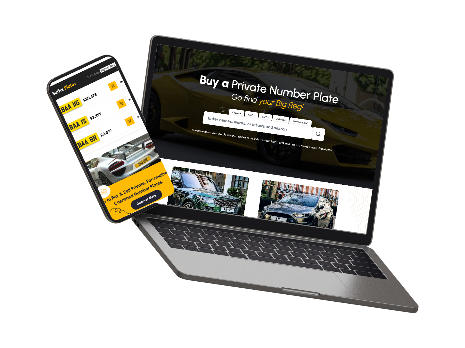 BigReg case study