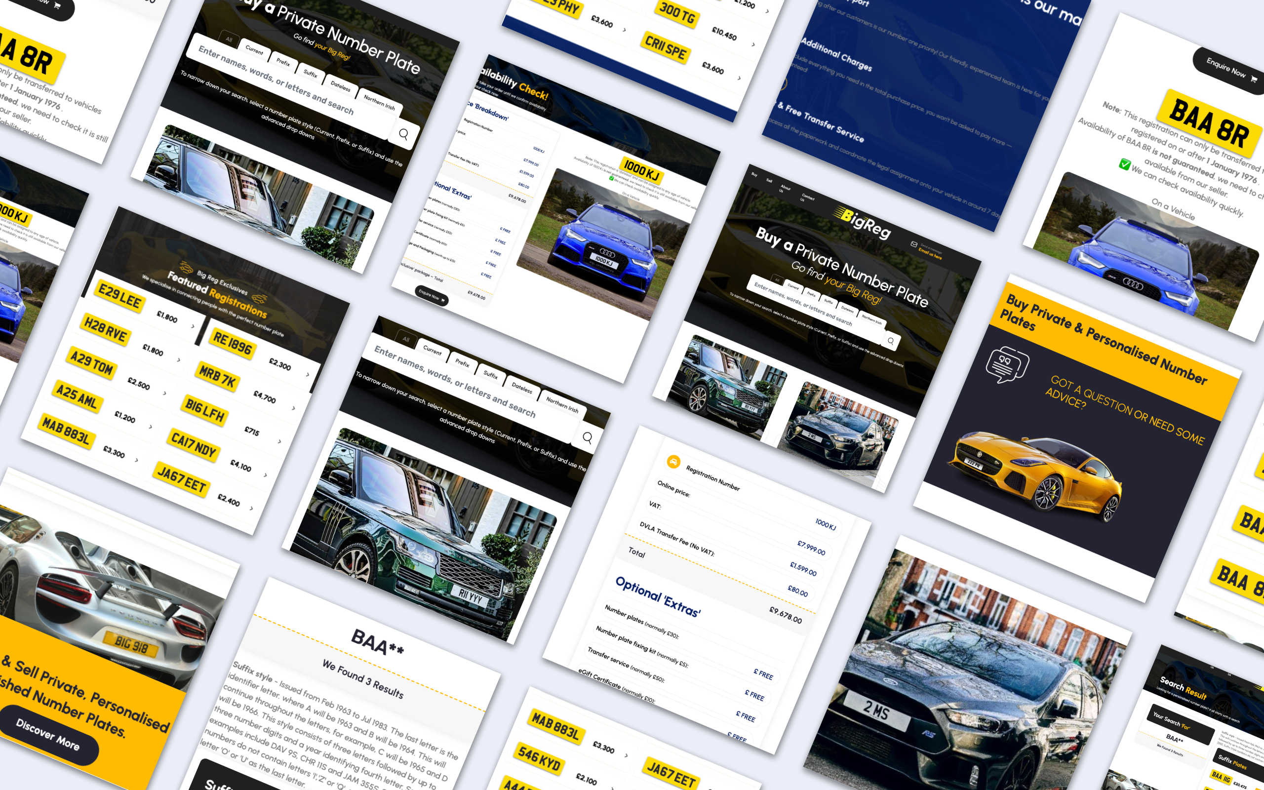 BigReg product screens
